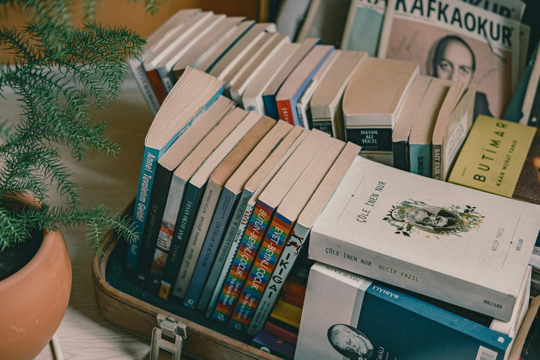books in open suitcase